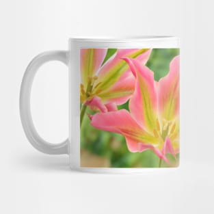 Tulipa &#39;Virichic&#39; Viridiflora Group Tulip Mug